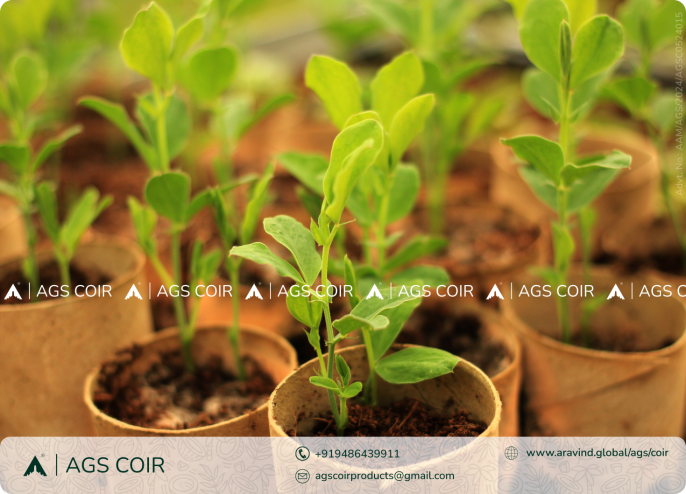 Cocopeat India - Eco-friendly Gardening Solutions