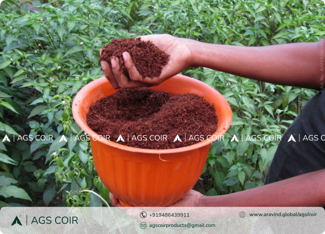 Sustainable Agriculture Solutions | Cocopeat India
