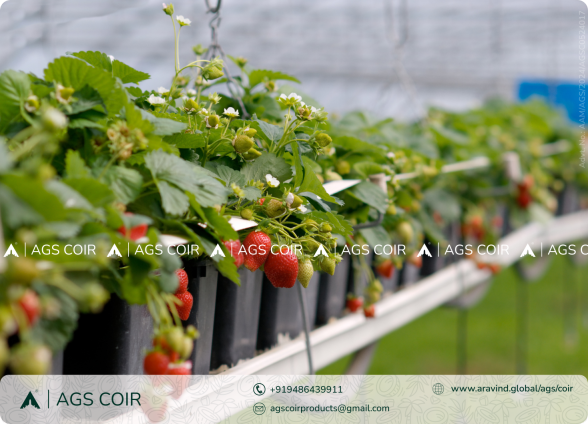 AGS Coir | Cocopeat Exporters in Chennai