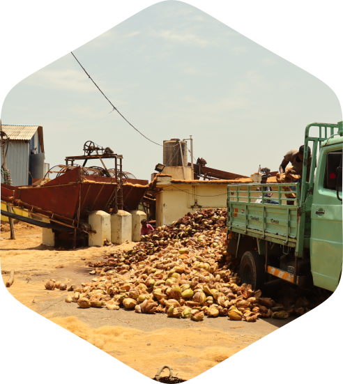 coco coir exporters, coco peat block manufacturer exporter,  coco peat block manufacturing, coco peat coir, coco peat export from india, coco peat exporter, coco peat exporters in india