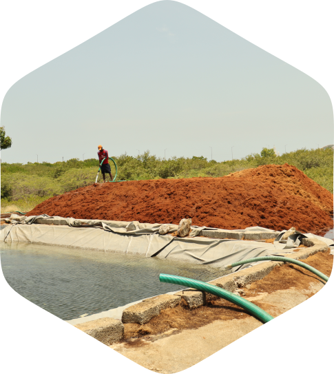 coco peat manufacturers in tamilnadu, coco peat potting soil, coco pith exporters, coconut coir hydroponics, coconut export from india, coconut products export from india, cocopeat export from india, cocopeat exporters, coir export from india, coir export, coir hydroponics, coir manufacturers in coimbatore, coir pith 5kg export from india, coir pith block manufacturers in pollachi, coir pith compost, coir pith export business, coir pith export, coir pith exporters in india, coir pith exporters in mumbai, coir pith exporters in pollachi, coir pith exporters in tamilnadu