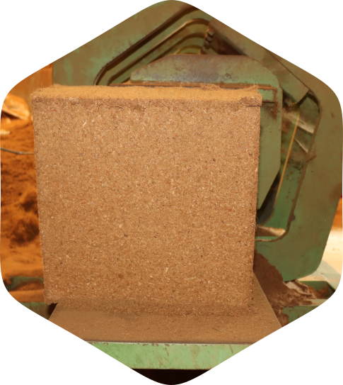 coir pith exporters in tuticorin, coir pith manufacturers in pollachi, coir product export data from india, coir products export from india, coir products exporters india, coir products exporters, coir suppliers, export coconut from india, export company in india