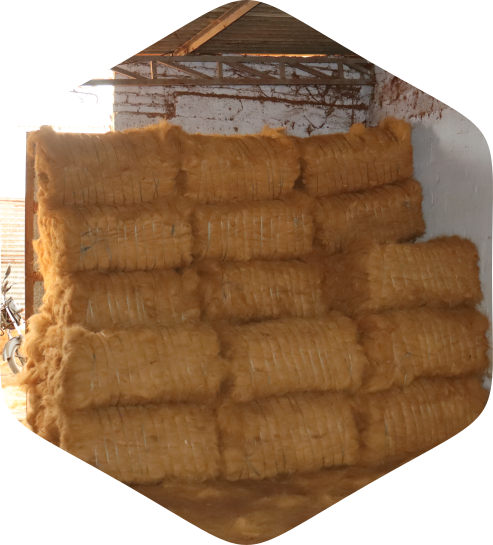 exporting organic products from india, hydrating coir brick, made in india export products, manufacturer of coco peat block in coimbatore,  peat in india, plant exporters in india, soil export from india, wholesale coco peat block supplier in coimbatore,  wholesale coco peat block supplier in pollachi, ags coir, aravind coir, coir, coirpith, coirpeat, cococoir, cocopeat, cocopeatblocks, cocopeatbricks, cocopeatplugs, cocopeat5kgblocks, 5kgblocks, huskchips, cocochips, naturalproducts, sustainableliving, ecofriendly, gardening, soilalternative, plantlovers, organic, renewableresource, greenliving